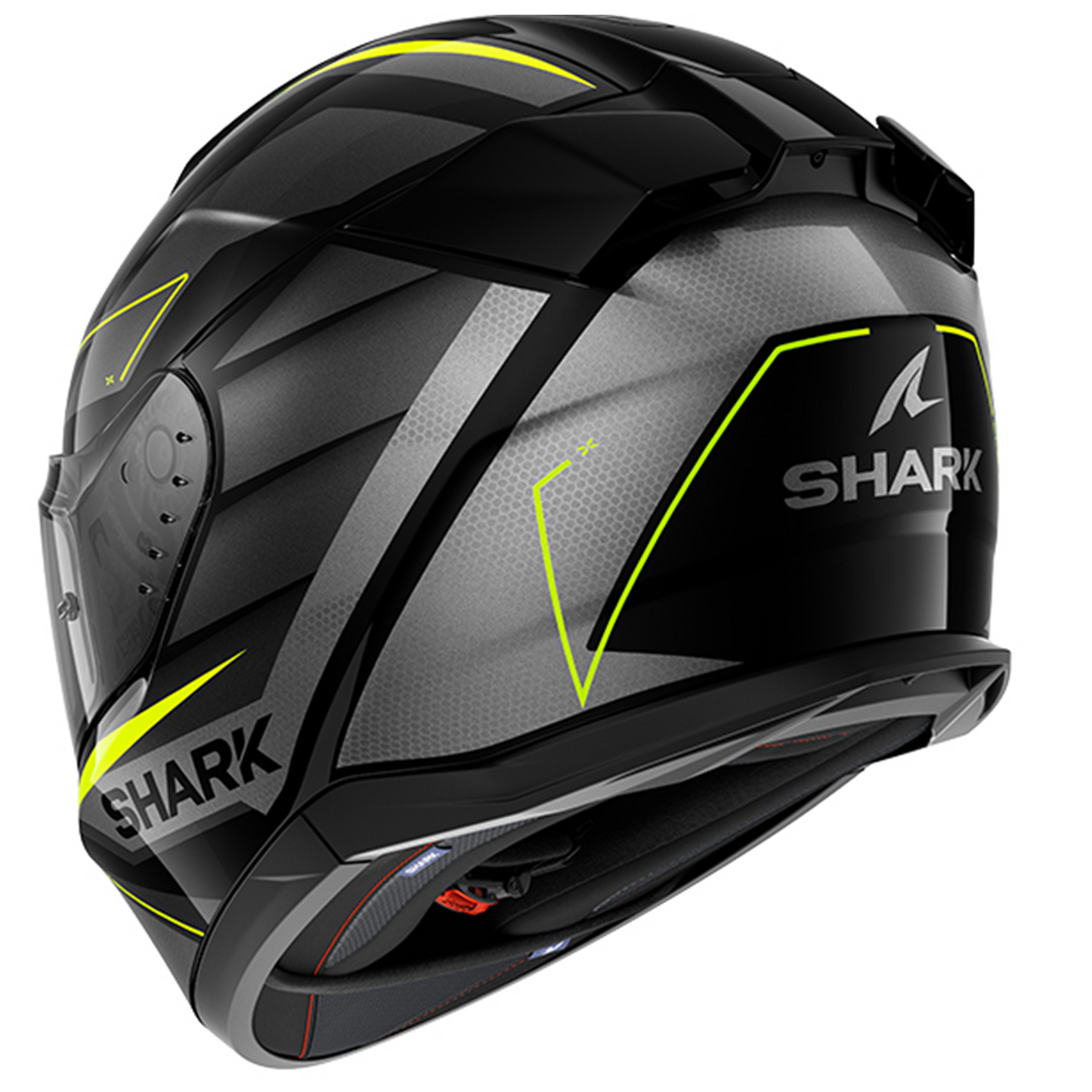 Shark D-Skwal 3 - Sizler KAY