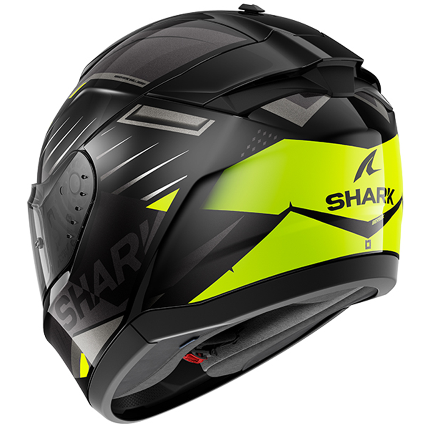 Shark Shark Ridill 2 - Bersek KGA - Rear View