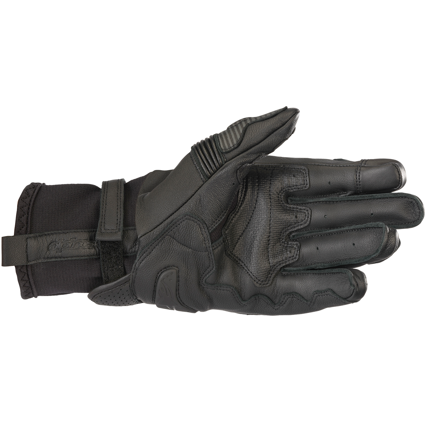 Alpinestars Alpinestars GP X V2 Gloves - Black - Side View