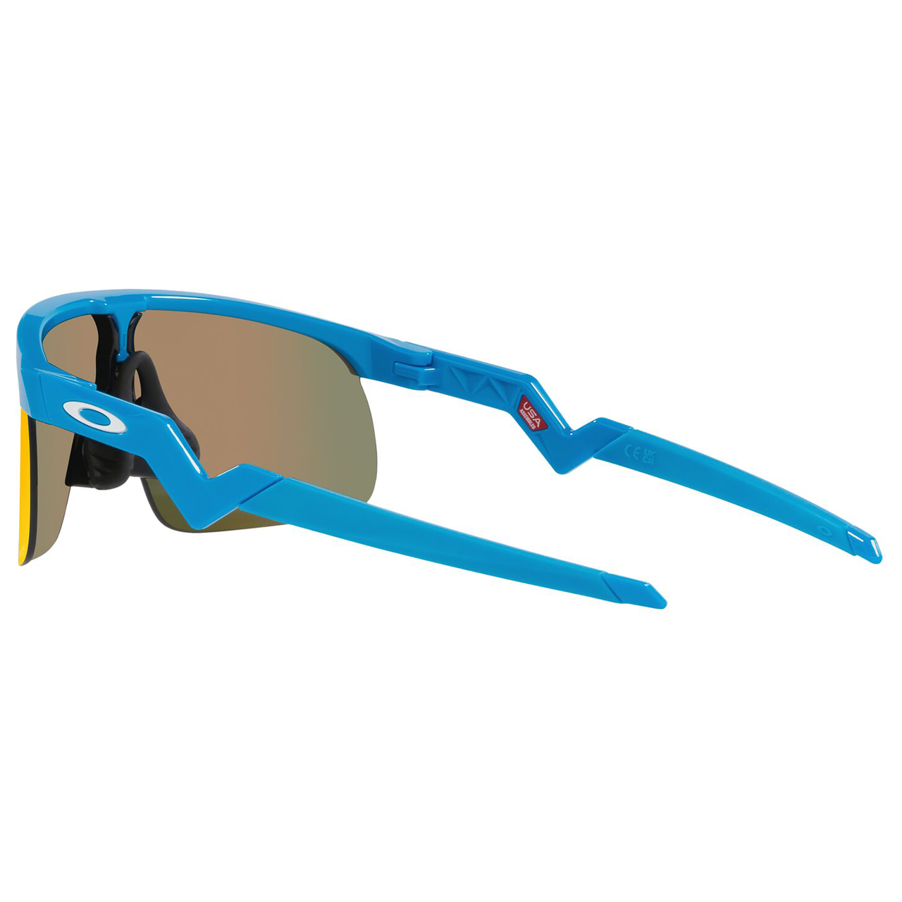 Oakley Resistor Youth Sunglasses (Sky Blue) Prizm Ruby Lens